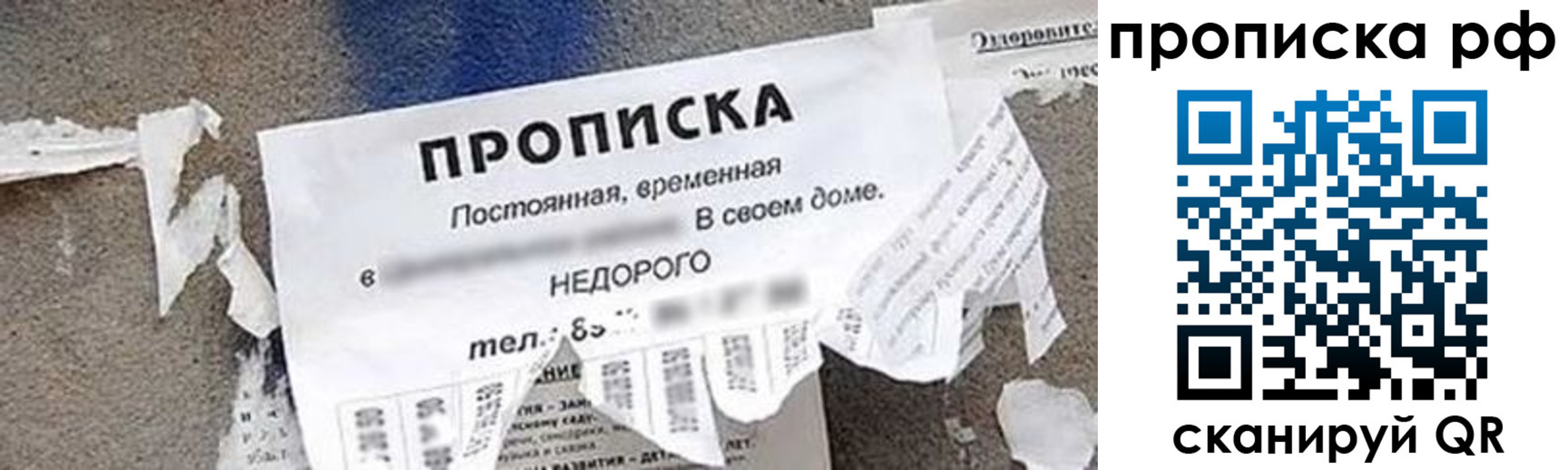 где прописаться в Коле