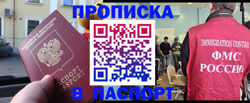 временная регистрация поиск в Коле